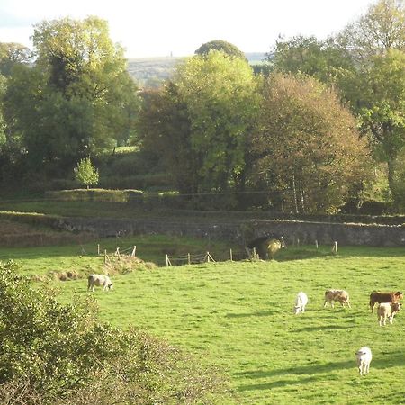 The Homecoming Barn Clogher المظهر الخارجي الصورة