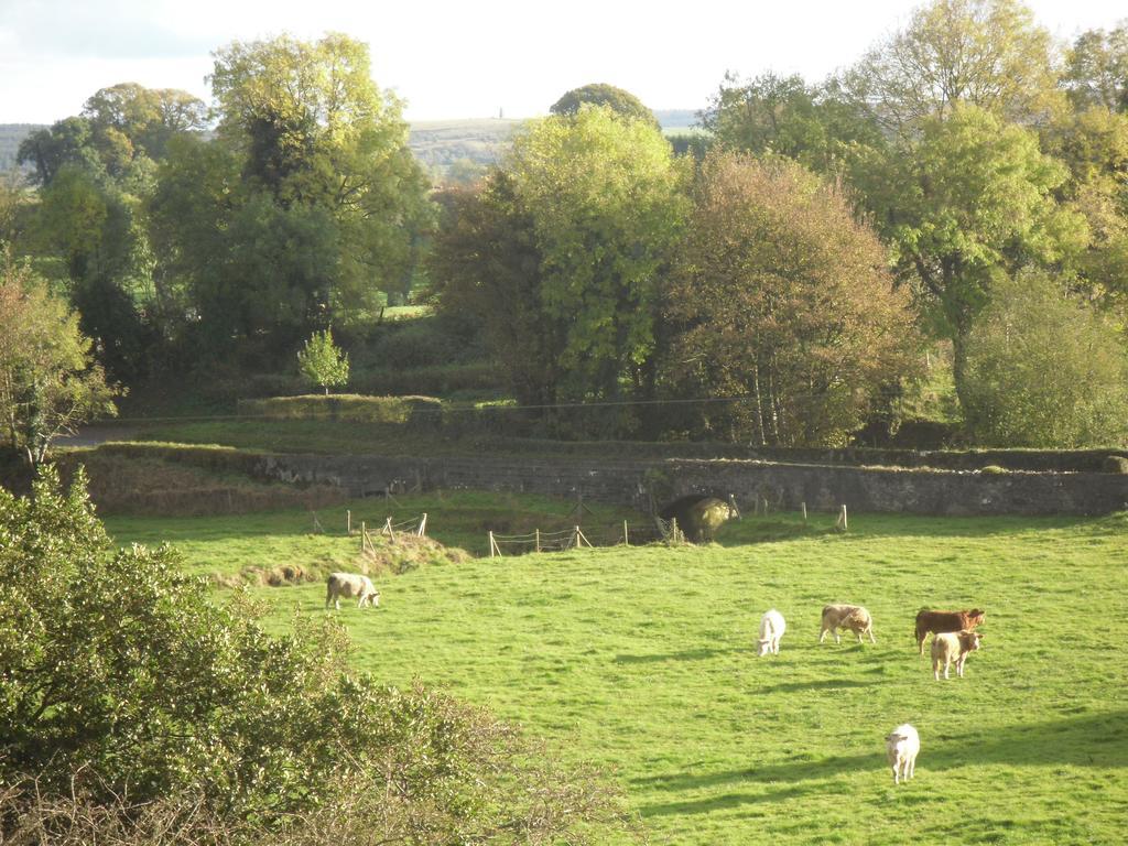 The Homecoming Barn Clogher المظهر الخارجي الصورة